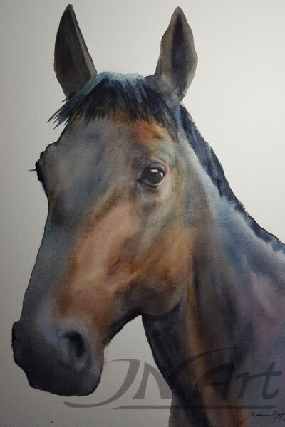 häst akvarell