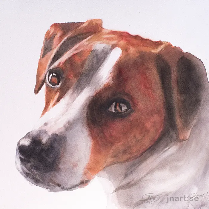 Bestall-djurportratt-hund-akvarell-JNArt