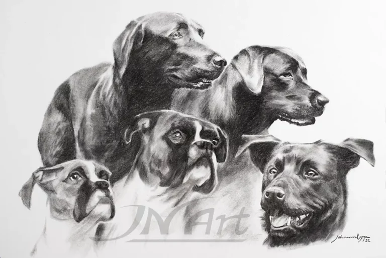 hundportratt-kol-jnart