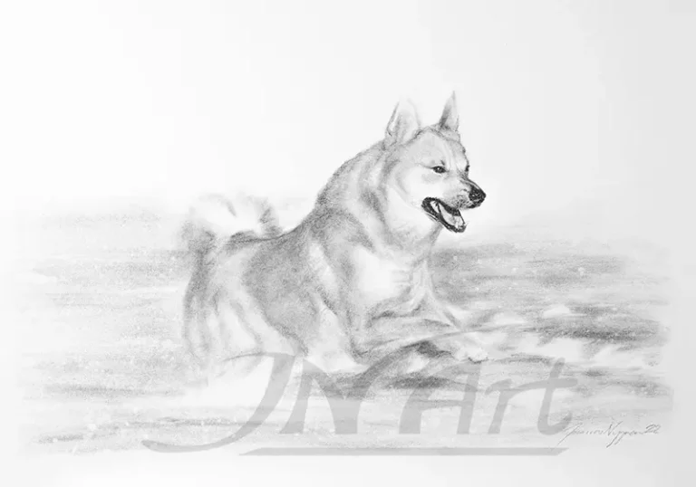hundportratt-kol-sno-springer-enkel-jnart